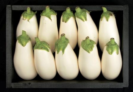 witte aubergine