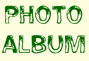 photo album with Albert Cuypmarket