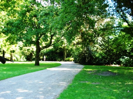 het beatrixpark in Zuid