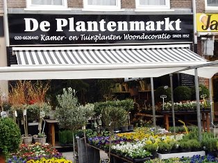 plantes and flower shop